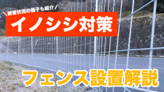 フェンスにを建ててイノシシ対策