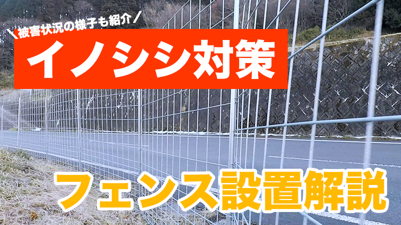 フェンスにを建ててイノシシ対策